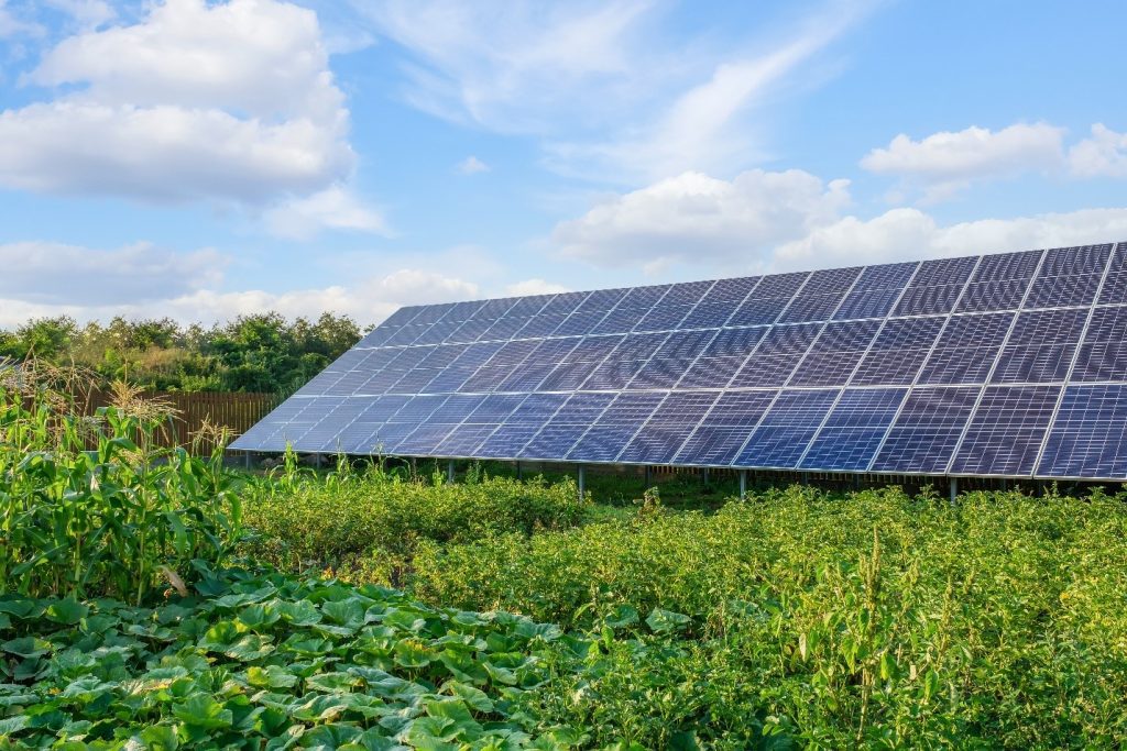What is Agrivoltaics and Why It Is Important to Farming